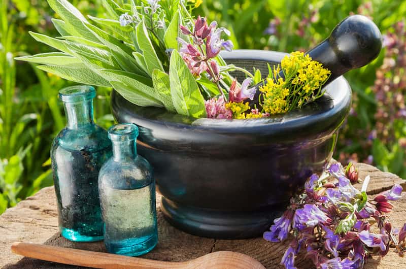 گیاهان دارویی کوهی ایلام؛ مریم گلی گل گاوزبان بابونه پیچک خارشتر حاوی Vitamin