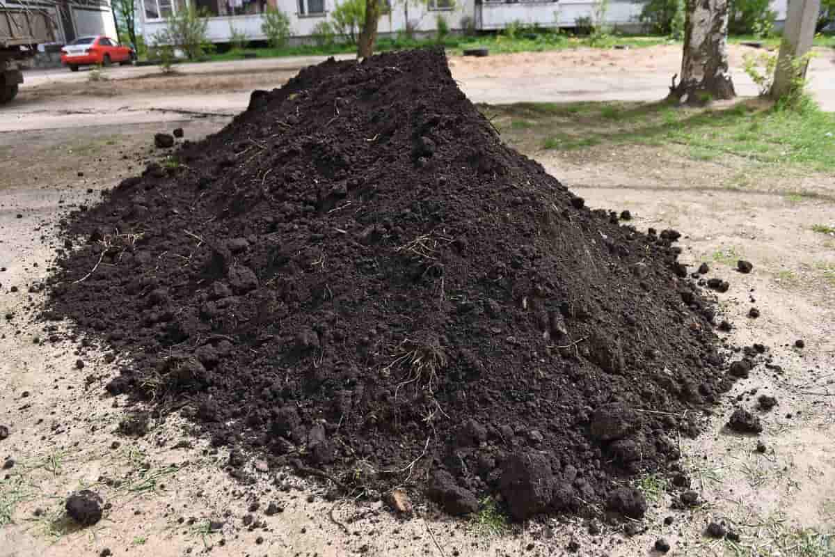 خاک زغال تهران (کربن) کاربرد بهبود رشد گیاهان آپارتمانی گلخانه ای