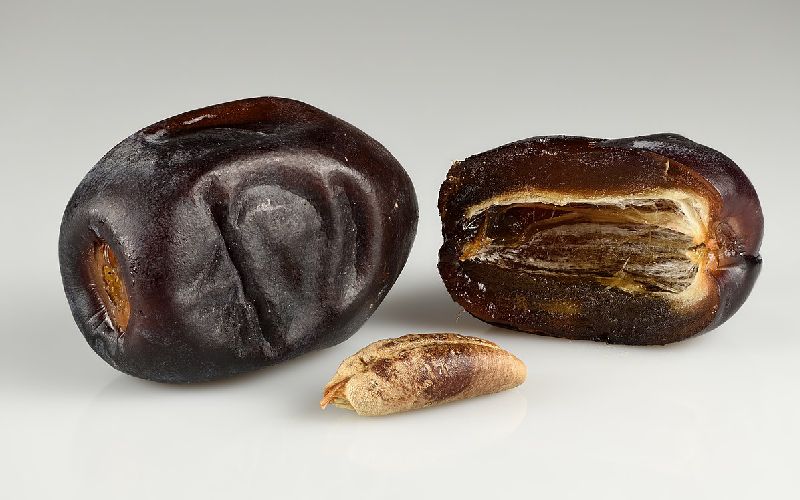 خرمای صادراتی بم؛ کاهش چربی تامین پروتئین بدن 23 درصد رطوبت