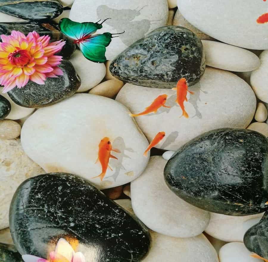 کاشی سه بعدی ماهی (سرامیک) کفپوش برچسبی چاپی مناسب پذیرایی