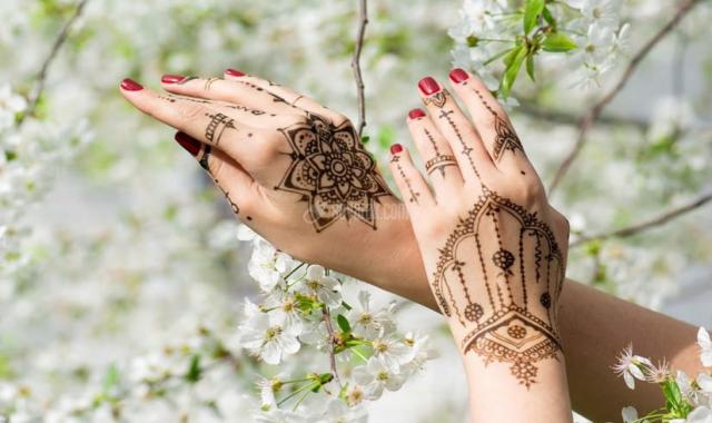 حنای سیاه هندی؛ عدم رنگ دهی درمان سردرد (قهوه ای مشکی)
