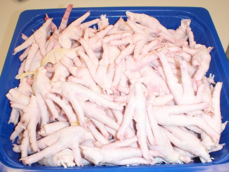 پای مرغ قرمز؛ رفع درد مفاصل غضروف ساز Cholesterol