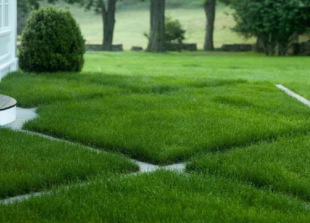 چمن مصنوعی دیواری؛ چسبدار بدون چسب مناسب آپارتمان ادارات