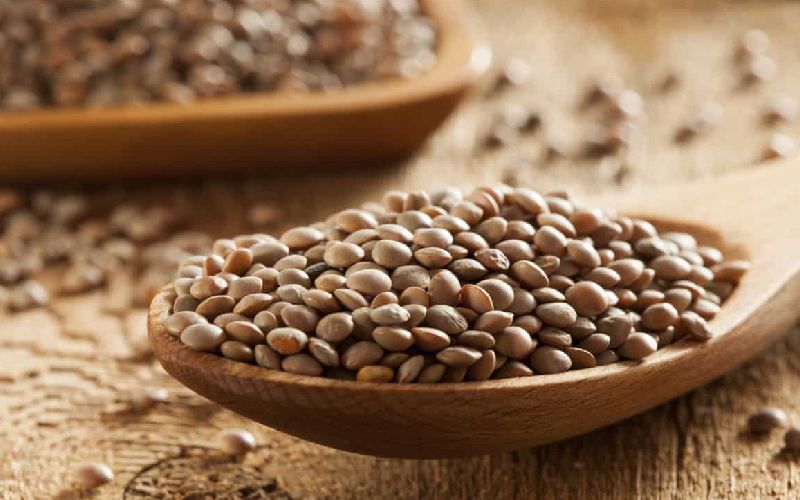 عدس برای سنگ کلیه (حبوبات) سبز زرد قرمز قهوای طبع گرم