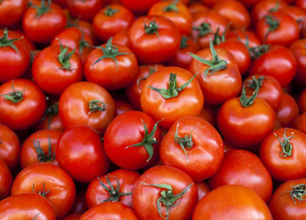 گوجه گلخانه ای دافنیس (صیفی جات) حاوی ویتامین پتاسیم منگنز تقویت حافظه