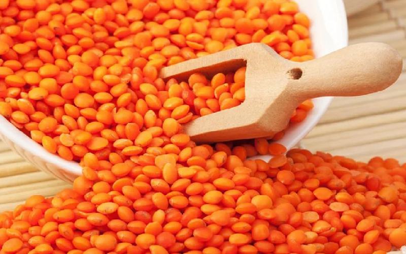 عدس قرمز در بارداری؛ کنترل دیابت فشار خون محل کاشت India