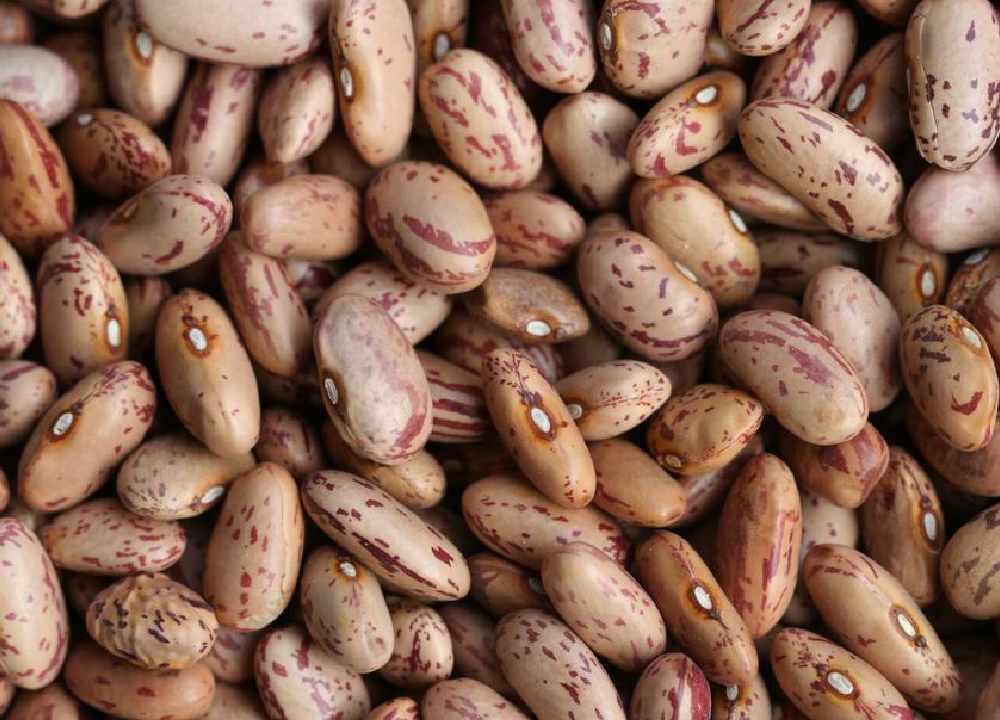 لوبیا چیتی فشار خون (حبوبات) حاوی ویتامین مواد معدنی کنترل فشار خون