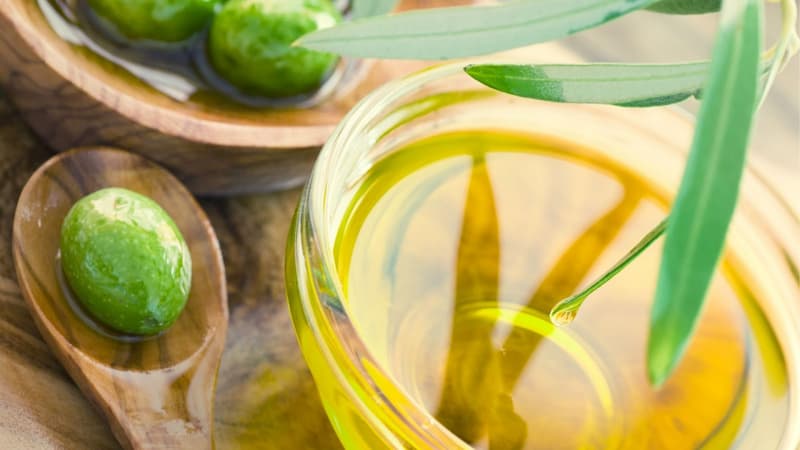 روغن زیتون برای پوست؛ طبع گرم کلسترول کم درمان سردی مجاز