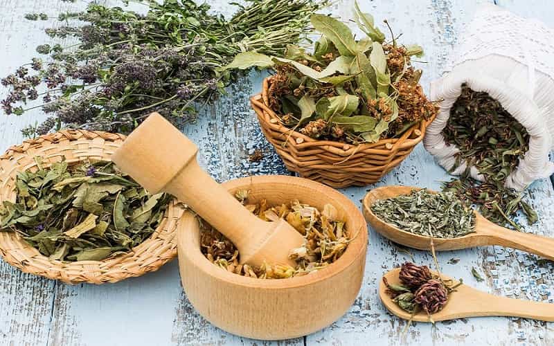 گیاهان دارویی طبع گرم؛ دارچین گل گاو زبان اسطوخودوس medicinal plants