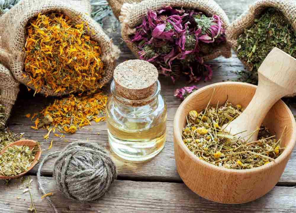 گیاهان دارویی صادراتی ایران؛ دارچین زیره میخک تقویت سیستم ایمنی بدن