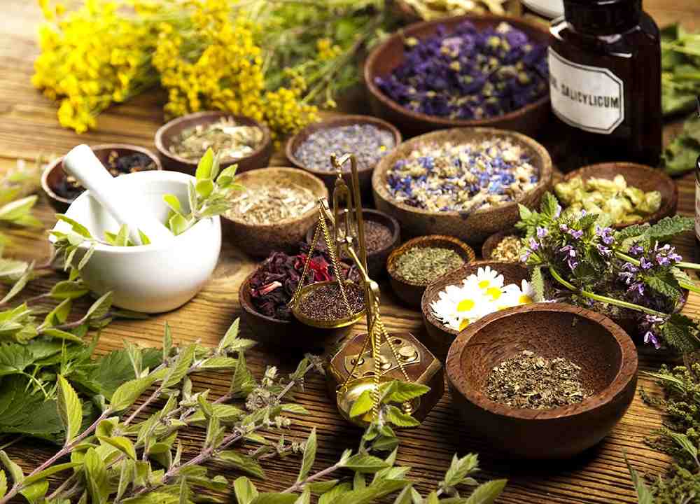 گیاهان دارویی عطری؛ جعفری نعنا گشنیز مناسب تهیه دمنوش غذا سالاد
