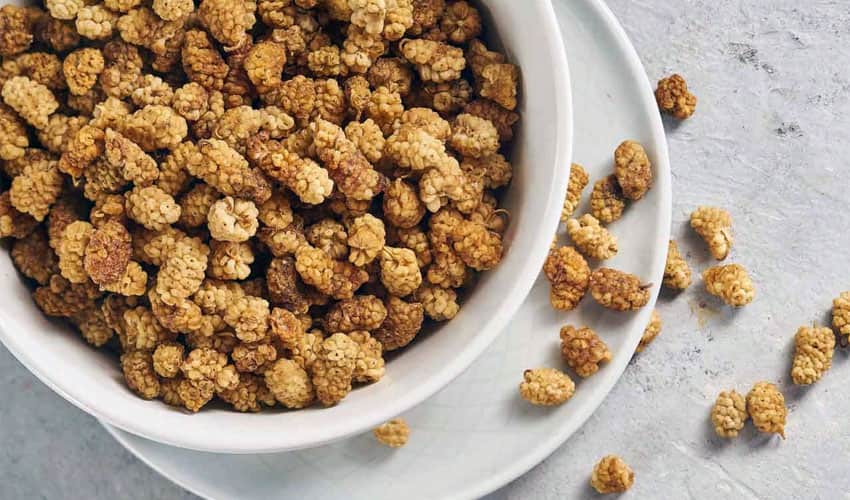 توت خشک برای چاقی صورت؛ کاهش استرس تقویت سیستم عصبی 2 رنگ (سفید کرمی) Dried berries