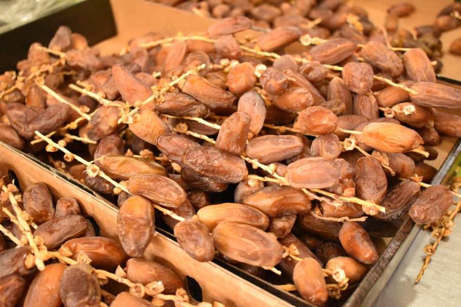 خرمای دگلت نور؛ بافت نرم طعم شیرین سلامت استخوان ضد سرطان