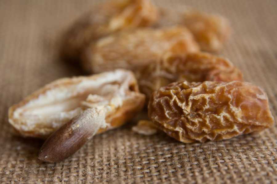 خرمای خشک اعلا؛ پیارم زاهدی جایگزین قند رفع خستگی dry dates