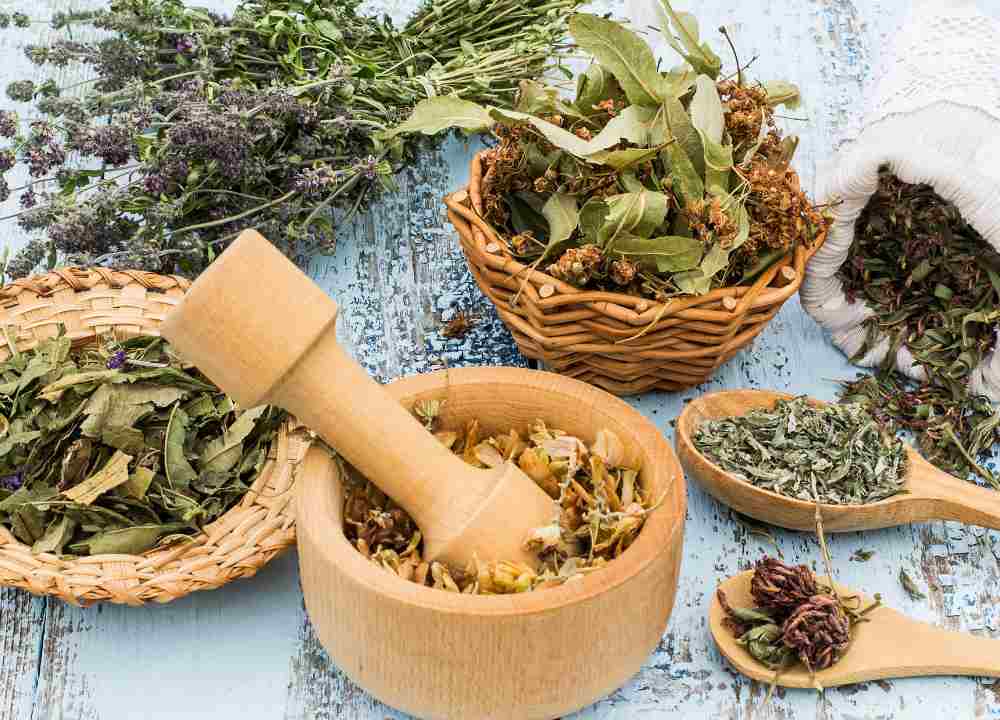 گیاه دارویی ضد حساسیت؛ زیره بادرنجبویه چای سبز درمان سوزش خارش گلو