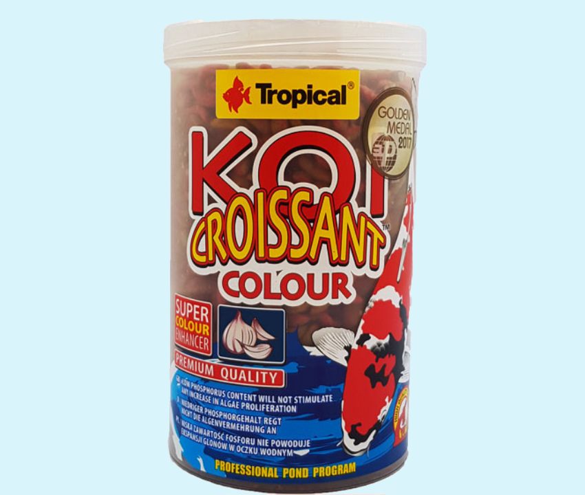 غذا ماهی کوی؛ میگو جلبک حاوی پروتئین مواد معدنی اسید چرب