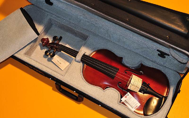 کیف ویولن (هارد کیس) دوشی کوله پشتی 3 جنس چرم برزنت پلاستیک