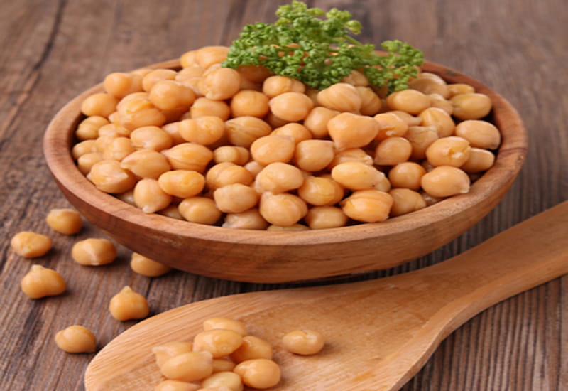 نخود خوشمزه؛ سه خان زرد نخودی عمده Chickpea 