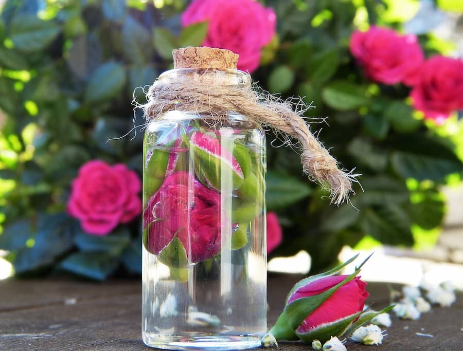 گلاب 12 عیار (عرقیجات) درمان درد معده یبوست حاوی Vitamin C