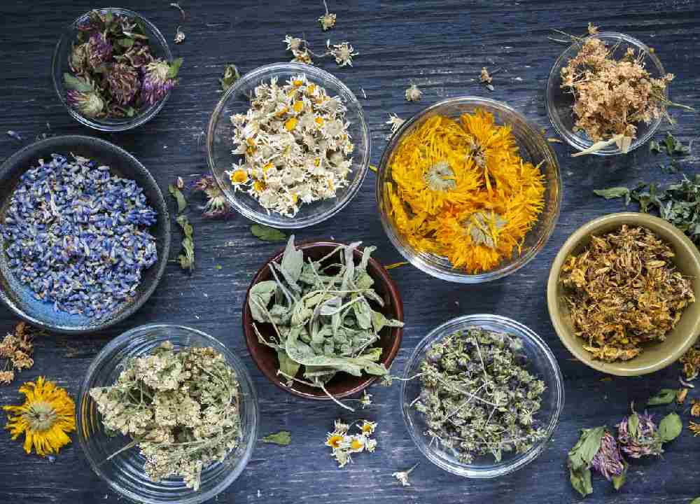 گیاهان دارویی ایران؛ دارچین بابونه رازیانه آویشن حاوی Vitamin D