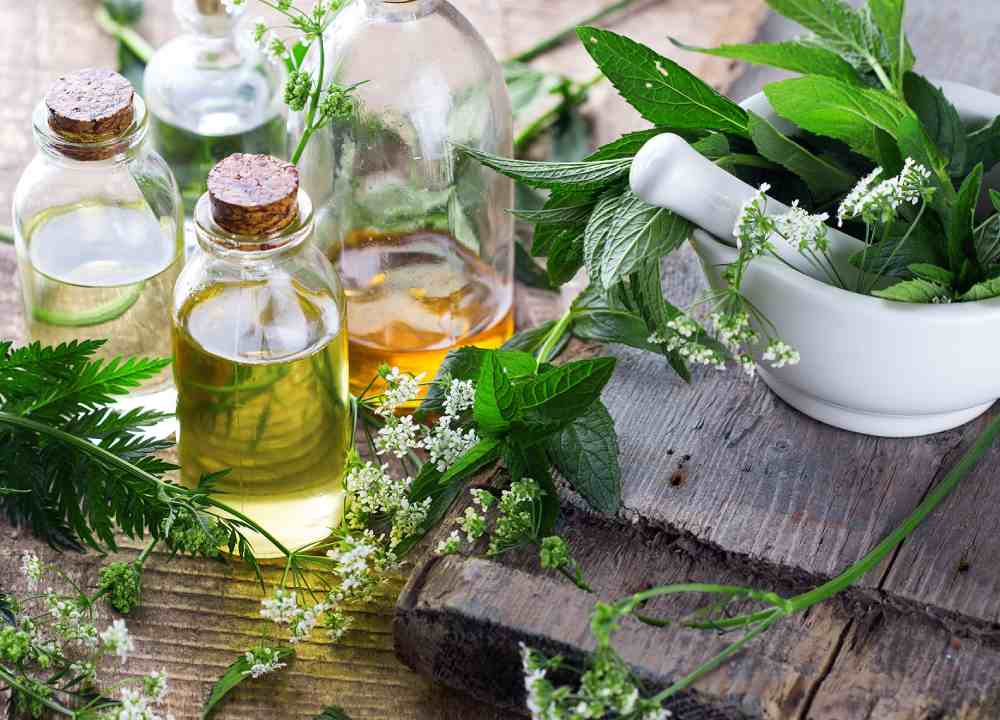 گیاهان دارویی ضد استرس؛ بادرنجبویه گل گاوزبان گل نارنج آرامش بخش