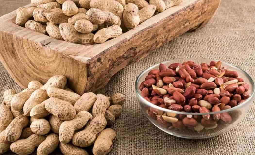 بادام زمینی ترکیه (خشکبار) بهبود عملکرد قلب عروق حاوی پروتئین Calcium