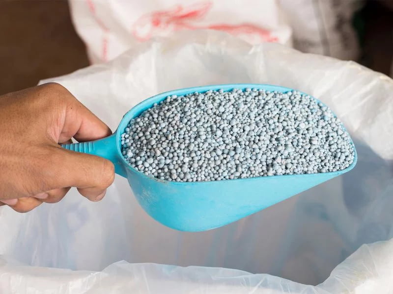 کود فروت ست موبورسین؛ گرده افشانی نیتروژن روی فسفر بور