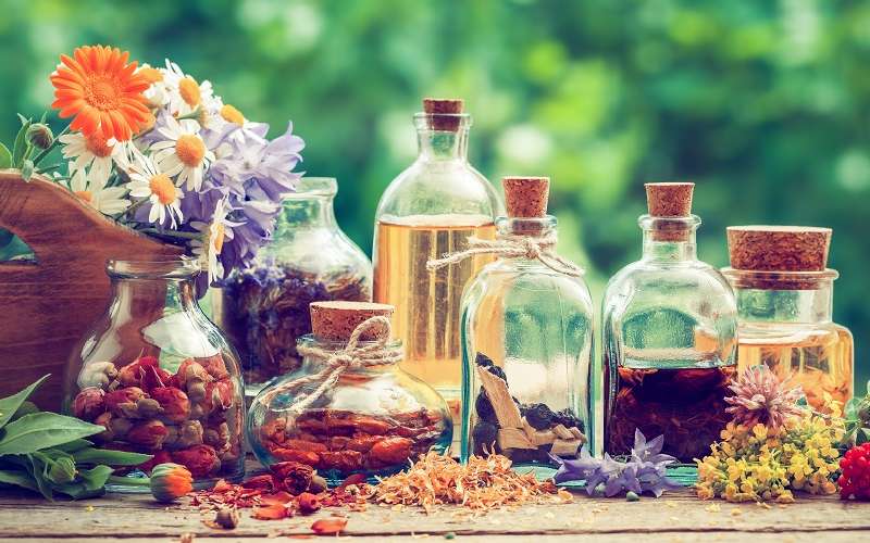 گیاه دارویی ضد تب؛ نعناع زنجبیل تازه خشک شده مناسب دمنوش