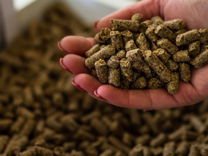 خوراک دام هشتگرد؛ علوفه فشرده شده حاوی آنزیم پروبیوتیک