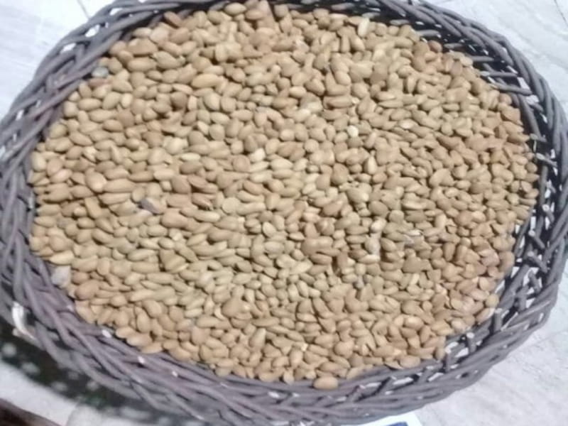 بادام کوهی شیراز؛ بیضی قهوه ای 2طعم بوداده