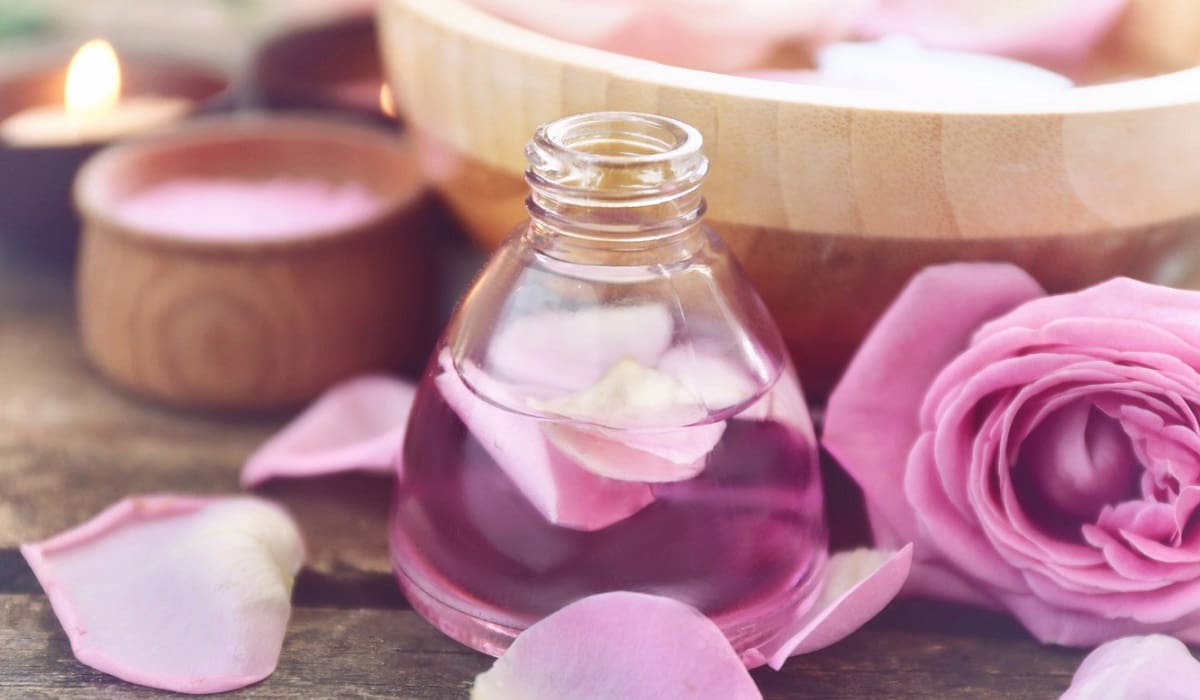 گلاب کاشان1401؛ عطر طعم بی نظیر تقطیر گل محمدی قمصر IRAN