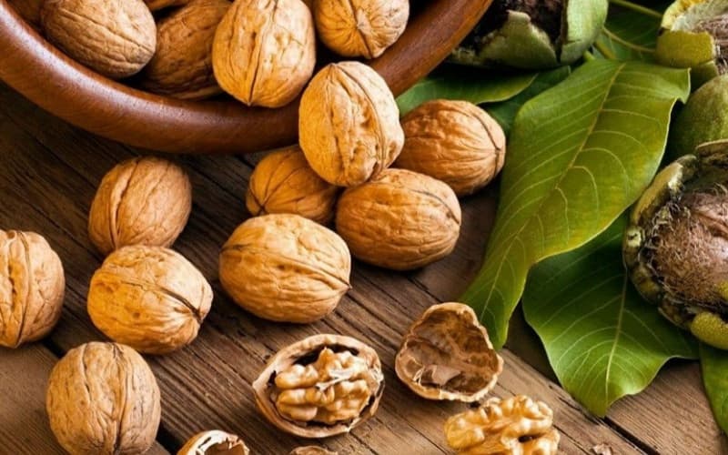 گردو کوپه ای (کانادایی) پوست کاغذی مغز گوشتی درشت Canadian