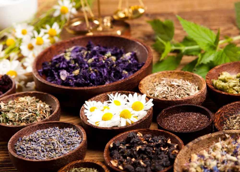 گیاهان دارویی خواب آور؛ بابونه بهارنارنج گل گاوزبان آرامش بخش