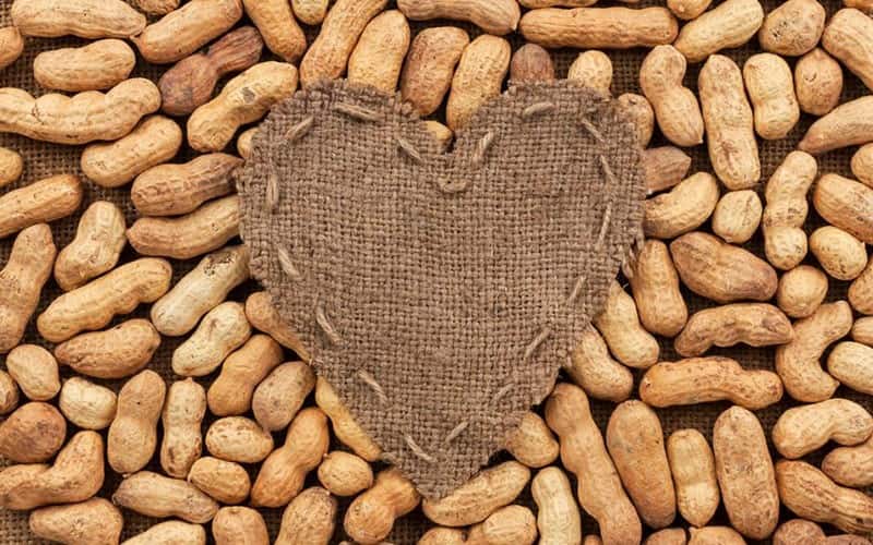 بادام زمینی خام عمده؛ پوسته ضخیم بسته بندی بهداشتی ایرانی