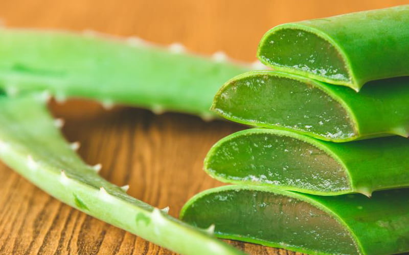 برگ آلوئه ورا؛ خوراکی غیر خوراکی برگ گوشتی ضخیم سلامت پوست مو
