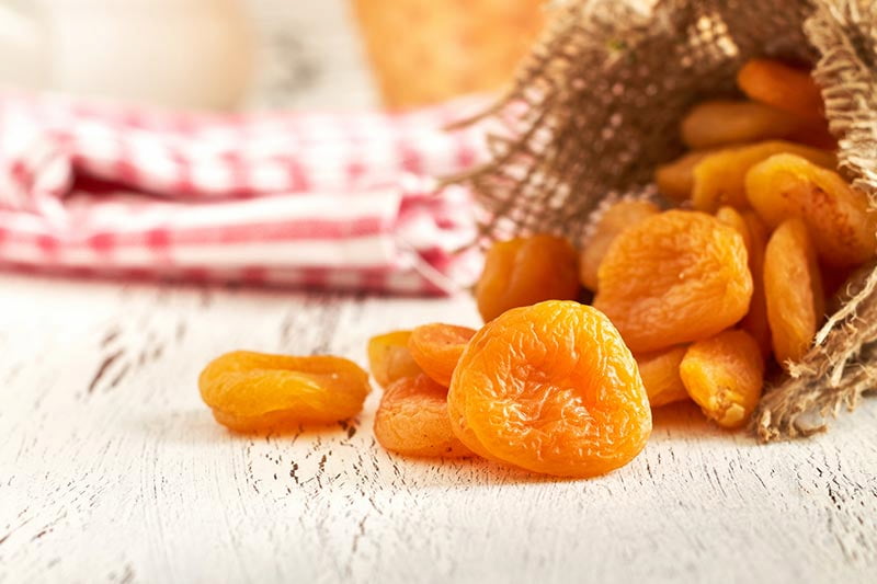 قیسی فلکه ای؛ فیبر بتاکاروتن آهن ویتامین C K درمان کم خونی