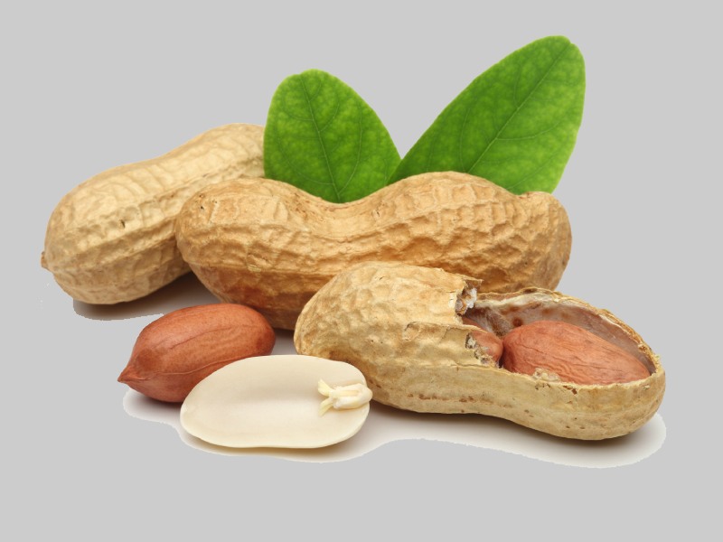 بادام زمینی خیراندیش (پسته شامی) شور بو داده درمان کم خونی حاوی niacin