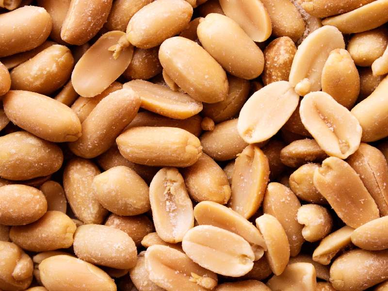 بادام زمینی شرکا؛ روکش دار پوست کنده حاوی ویتامین E وزن (50 250 گرم)