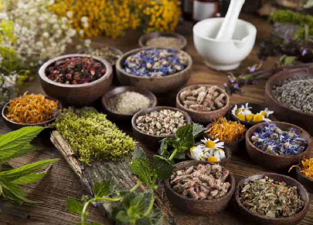 گیاهان دارویی ضد سرطان؛ شبدر قاصدک زنجبیل 2 نوع دمنوش عرق