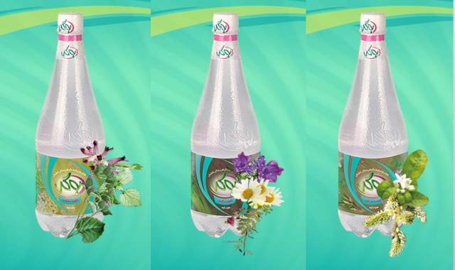 گلاب به گل؛ صنعتی سنتی طعم تلخ مناسب کلاژن سازی پوست