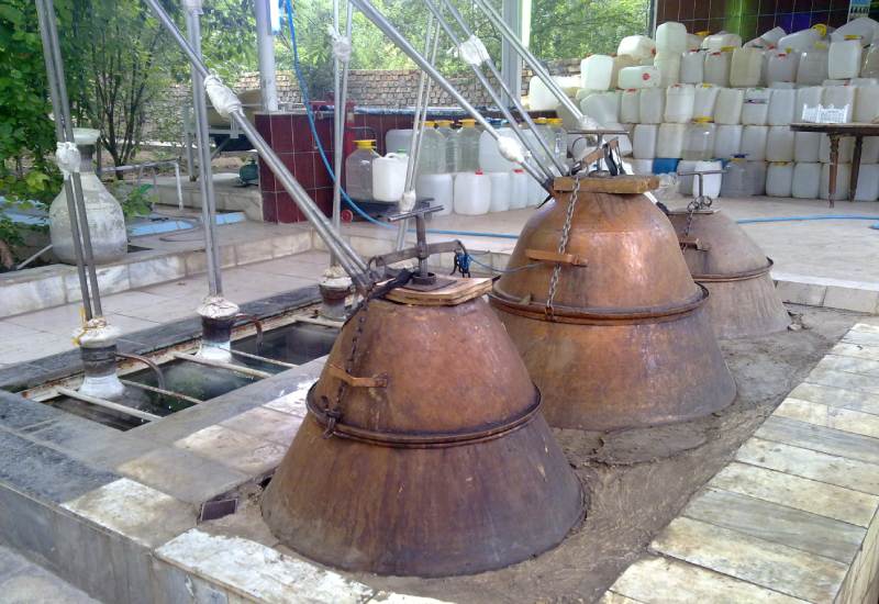 گلاب خانگی (عرقیجات) دو آتیشه سبک درمان مشکلات گوارشی رفع خستگی