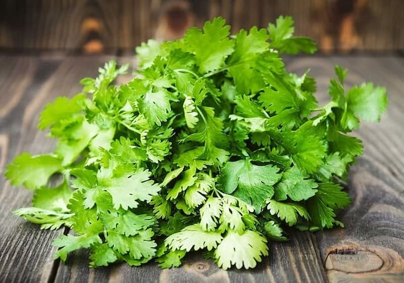 بذر گشنیز عمده؛ درمان دندان بهبود مسمویت غذایی آنتی اکسیدان 2 رنگ