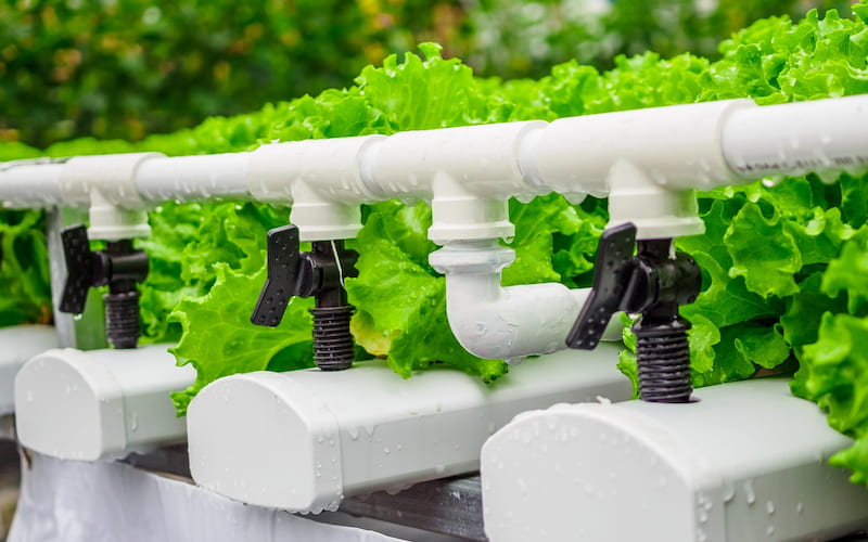 سیستم آبیاری هیدروپونیک؛ عملکرد اتوماتیک مناسب باغ گلخانه