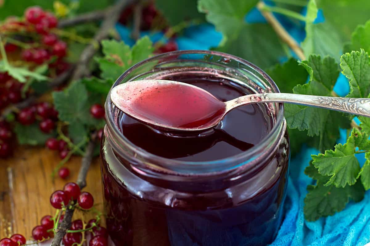 شیره انگور سال جدید؛ قند طبیعی ملین بریکس (40 75) طبع گرم