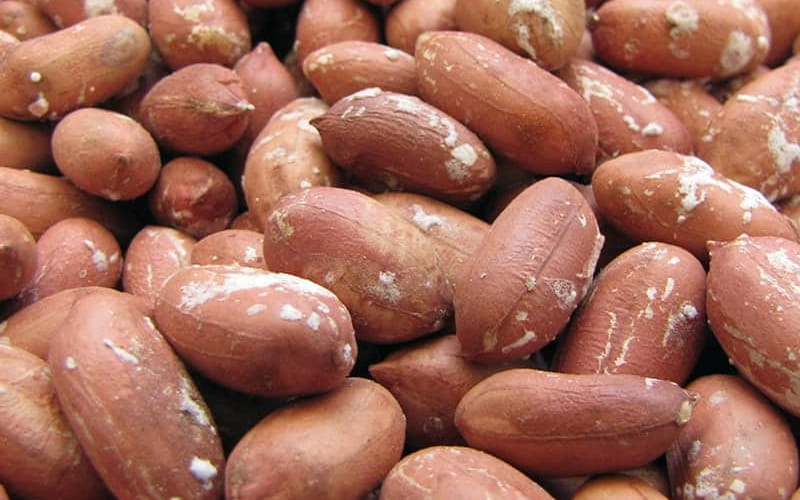 بادام زمینی آستانه عمده؛ سرکه ای نمکی حاوی مس آهن مناسب کودکان