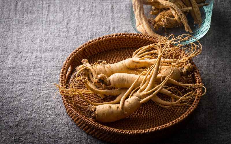 بذر بونسای جنسینگ (گیاه دارویی) متقارن خمیده تقویت سیستم ایمنی بدن