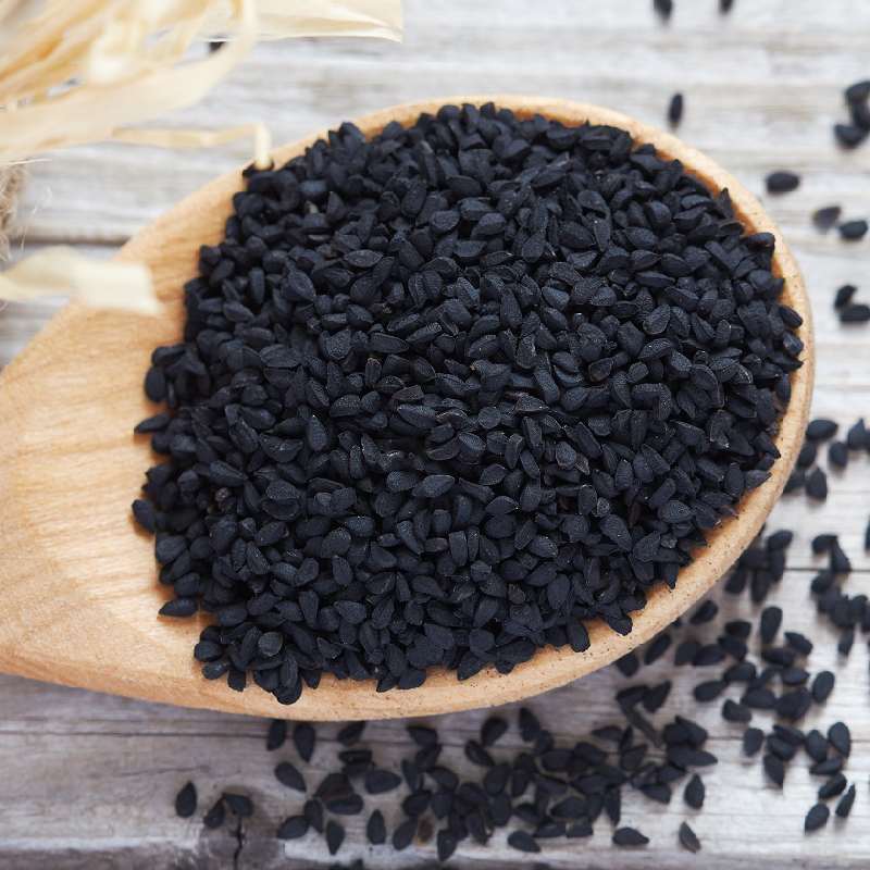 بذر پیاز؛ سفید زرد بنفش قرمز طعم شیرین پوست نازک Seed