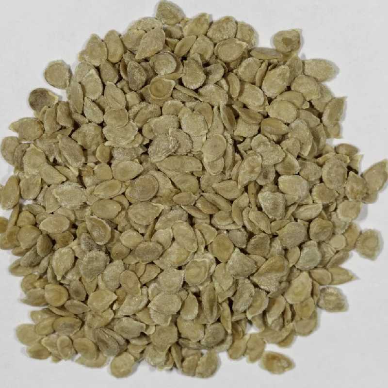 بذر گوجه فرنگی؛ پتاسیم منیزیم 2 مدل کروی بیف استیک in America