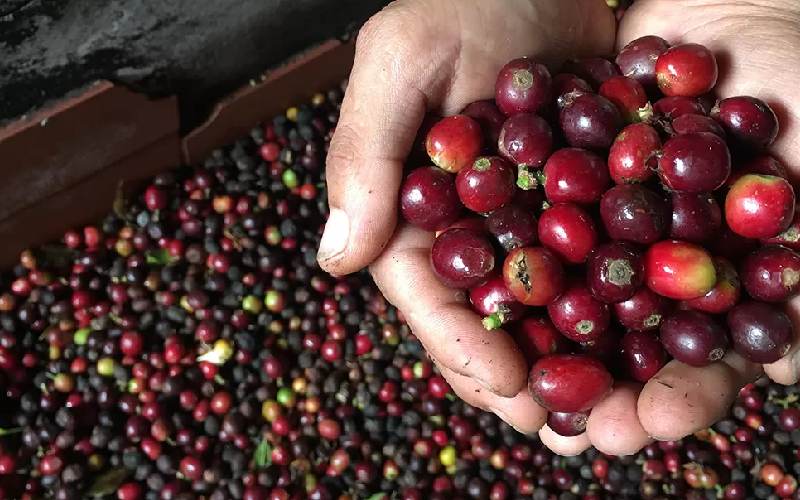 عناب و یبوست نوزاد؛ رطوبت کم مصرف (دمنوش میوه) خواب راحت