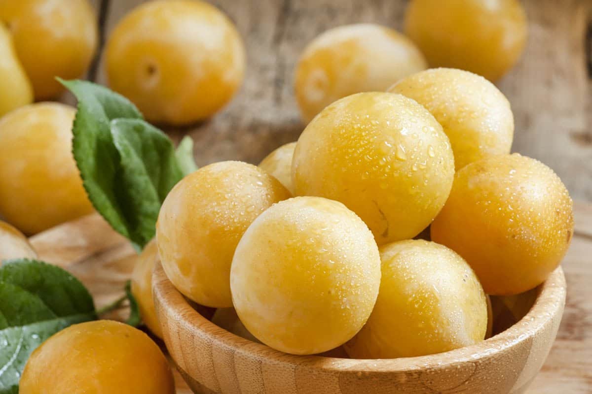 آلو بخارا زرد (خشکبار) بافت گوشتی هسته سفت حاوی آهن